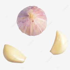 Salah satu resep rahasia dari pengguanaan bawang putih tunggal, adalah merendamnya dengan madu sampai beberapa waktu. Gambar Dua Ulas Bawang Putih Dan Satu Kepala Bawang Putih Clipart Bawang Putih Dua Ulas Bawang Putih Png Dan Clipart Untuk Muat Turun Percuma