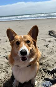 First post! Thought I'd jump