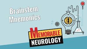 Die eröffnungsfeier und das topspiel türkei gegen italien jetzt live. Brainstem Midbrain Pons And Medulla Mnemonics Memorable Neurology 7 Youtube