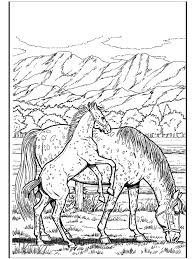 Children are naturally attached to animals; Horse Coloring Pages For Adults Best Coloring Pages For Kids