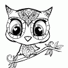 Oo owl color or b&w. 1