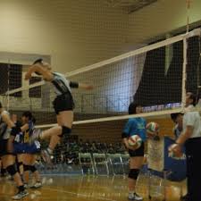 Check spelling or type a new query. éƒ¨æ´»å‹• å¥³å­ãƒãƒ¬ãƒ¼ãƒœãƒ¼ãƒ«éƒ¨ æ˜Žæˆé«˜æ ¡