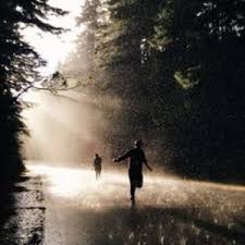 Yo can see that this picture is ann acclaimed one and the quality by looking at the number of 451. Rainy Day Aesthetics Wiki Fandom