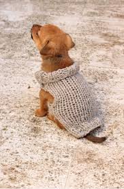 You too can join them by downloading our knitting patterns below and dropping off or. Puppy Sweater Knitting Pattern Xs Puppy Handy Little Me
