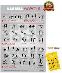 alpine choice barbell workout exercise gym poster 30x20 laminated chart