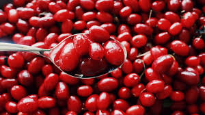 Bilberry yaban mersini cowberry kırmızı yaban mersini huckleberry ne demek. Kizilcik Hakkinda Bilmeniz Gereken 20 Sey