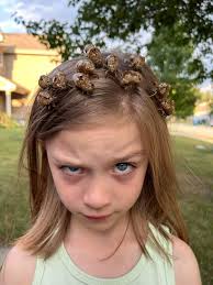 Cicada shells as hair accessories for kids