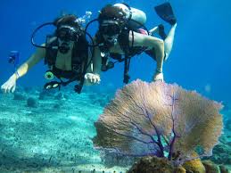 Kids between 10 and 11 years old must dive with a professional diver or, at least, with a certified parent or guardian. Galveston Cruises Beginner S Scuba Diving Excursions