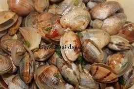 22 posts & 485 views. Kerang Or Kepah Toluna
