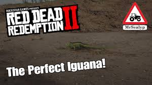 If you would like to support the channel. Red Dead Redemption 2 The Perfect Iguana Gameplay Rockstar Games Youtube