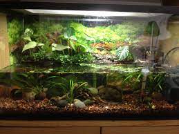12x12x18, 36x18x36, 29 gallon our complete vivarium kits include everything necessary to turn any common enclosure into a beautiful and long lasting bioactive terrarium. Pin On Vivarium