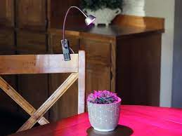 Grow lights for indoor plants full spectrum, elaine 132w auto on/off plant grow light 3/6/12h timing function sunlike clip on grow light lamp for succulents and seed starting. The 7 Best Grow Lights Of 2021