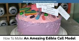 Maybe you would like to learn more about one of these? How To Make An Edible Cell Model Weird Unsocialized Homeschoolers
