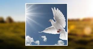 Kenneth R. Shafer Obituary December 6, 2017