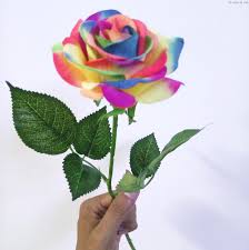 Maybe you would like to learn more about one of these? Rainbow Rose Real Colorful Flowers Novocom Top