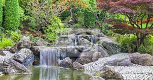 Fotobehang Cascade Waterval In De Japanse Tuin In Bonn Pixers We Leven Om Te Veranderen Japanese Garden How To Build A Pond Waterfall Waterfall