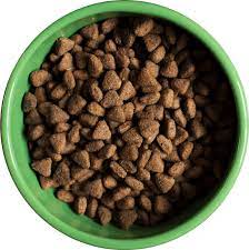 Morgan added that bags of dry food also. What Is Kibble Dog Food Read Our Blog The Dog Nutritionist