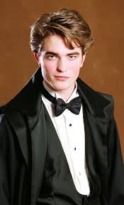Rita01tx Photo Cedric Diggory Harry Potter Goblet Harry Potter Movies