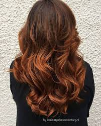 Tiger Eye Balayage Copper Hair Color Cool Hair Color Copper Balayage