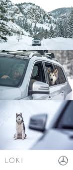 Pin Van Chris Vasquez Op Loki