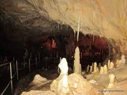 1500m long, of which 800m is the arranged upper level and the rest of paleontological patrimony of pestera ursilor. Romania E Frumoasa 40 Apuseni Pestera Ursilor Si Ghetarul Scarisoara Razvan Pascu