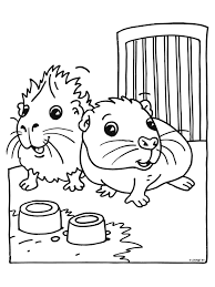 Meerschweinchen suess ausmalbild & malvorlage (tiere) über. Kostenlose Malvorlagen Meerschweinchen Coloring And Malvorlagan