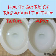 There are many different causes of toilet bowl rings. Pin On Cleaning