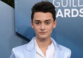 Noah schnapp is an american actor known for stranger things. Noah Schnapp Apologizes For Friendship With Controversial Fan