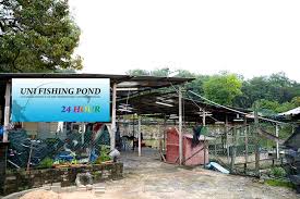 Kolam Pancing Bawah Taman U Seri Kembangan At Uni Fishing Pond Sports Recreation Seri Kembangan 9 Reviews 2 818 Photos Facebook