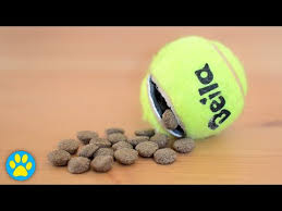 Crocheted duck dog toy · 5. 6 Diy Dog Puzzle Toys Challenging Toys You Can Make At Home