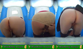 New Bio Toilet 2022 (255-265) - Wandering Voyeur Videos
