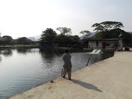 Pengunjung boleh menaiki bot menyaksikan panorama hutan bakau dan memancing. 6 Kolam Pancing Ini Adalah Port Terbaik Buat Kaki Pancing Lepaskan Gian