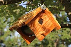 A miter saw, a finish nailer, and a power drill (to drill the hole so that the birds can get in. Wooden Bird Box Easy Diy Birdhouse Plans Patterns Monograms Stencils Diy Projects