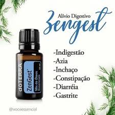 Zengest E Um Composto Digestivo Que Ajuda Na Digestao Dos Alimentos Acalmar O Estomago E Reduzir Oleos Essenciais Doterra Doterra Produtos De Beleza Naturais