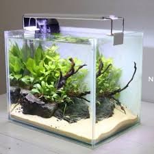 Jln puring ,utara terminal puring kebumen. Harga Aquarium Terbaik Juli 2021 Shopee Indonesia