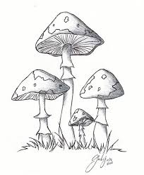 1 Lil 2 Lil 4 Lil Mushrooms By Chibipandamonster Mushroom Drawing Mushroom Art Drawings