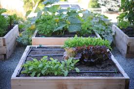 Sample square foot garden layout. Plan And Prep Your Vegetable Garden Seattle S Favorite Garden Store Since 1924 Swansons Nursery