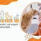 Cat Behavior 101