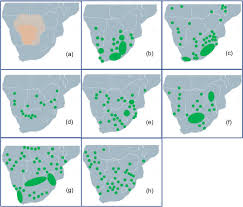 Image result for Geigeria africana