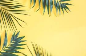 Super Wallpaper Laptop Minimalist Flower Ideas Computer Wallpaper Desktop Wallpapers Laptop Wallpaper Wallpaper Notebook