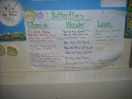 A New Take On The Kwl Chart Observe Wonder Learn Early