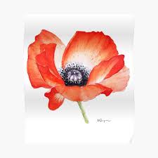 With over 75 poppy seed varieties available for you to buy, there's something to suit every. Red Poppy Seed Flower Watercolor Painting Poster By Mahsawatercolor Redbubble