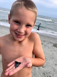 Shark Teeth Jewelry Making through Electroforming