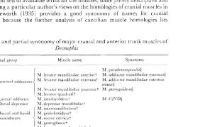 Muscles are described using unique anatomical terminology according to their actions and structure. A List And Partial Synonomy Of Major Cranial And Anterior Trunk Muscles Download Table