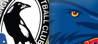 Punting on collingwood vs port adelaide? Afl Round 9 Collingwood Vs Adelaide Matchday Discussion Bigfooty