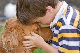 It was a very upsetting time for her, as she wasn't sure how much time she'd have in the end we had to take our vet's advice on when the right time was to put him down. Canine Lymphoma Life Expectancy Caninelymphoma Com
