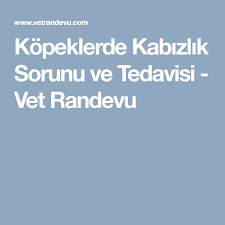 Kopeklerde Kabizlik Sorunu Ve Tedavisi Vet Randevu Kopek Veterinerler