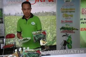 Di indonesia sendiri resep masakan daging sapi sudah hampir tidak terhitung jumlahnya. Sayuran Okra Dari Mitra Tani Lebih Banyak Diekspor Antara News Jawa Timur