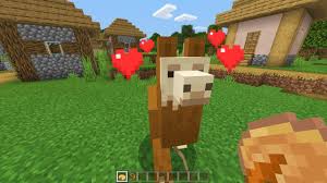 Take a look at this video that shows you what a few areas in kosovo looked like before and. Minecraft Guide How To Tame An Axolotl The Nerd Stash