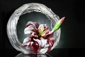 Museum Collection of Glass Artist Loretta H Yang's